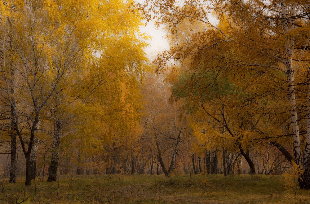 Photograph by Владимир Ануфриенко