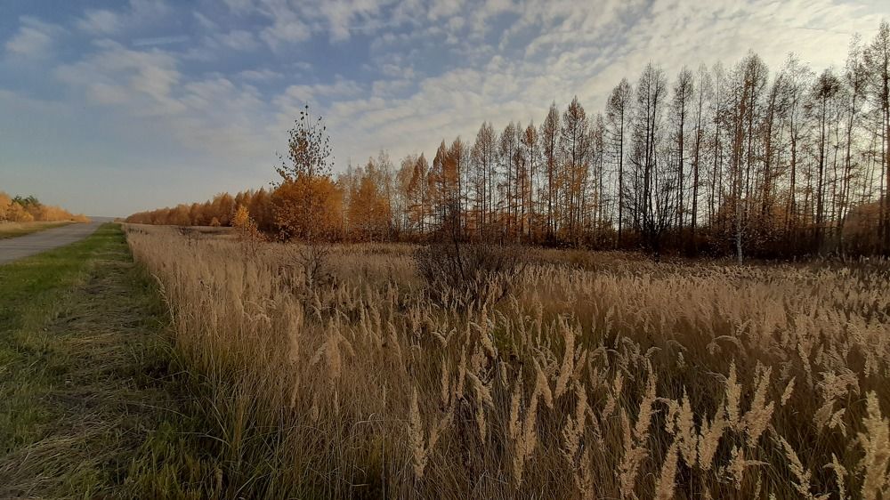 Photograph by Марина Слепова