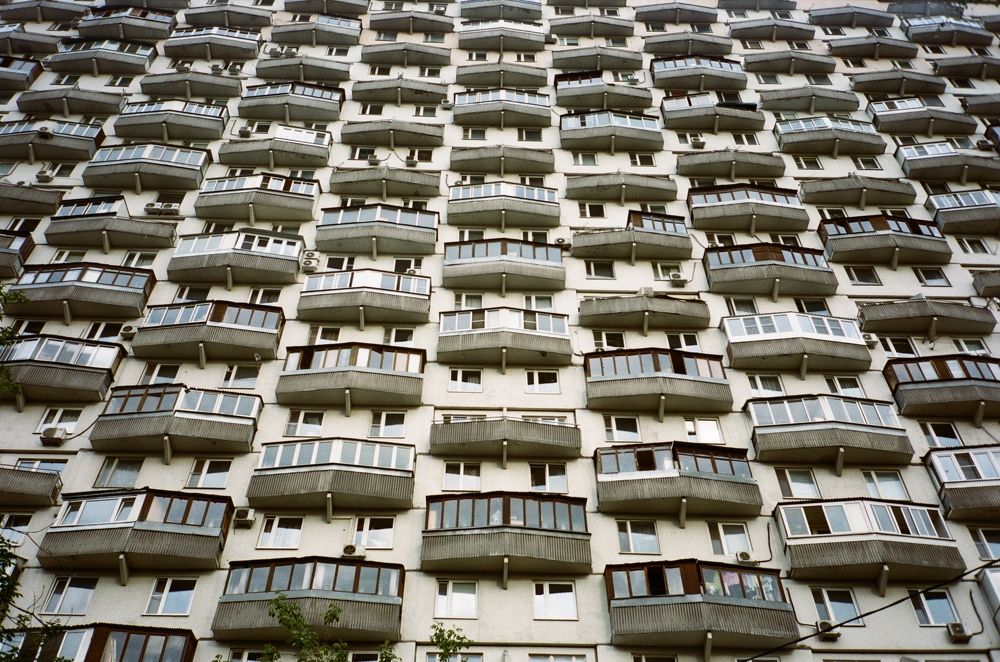 Муравейник