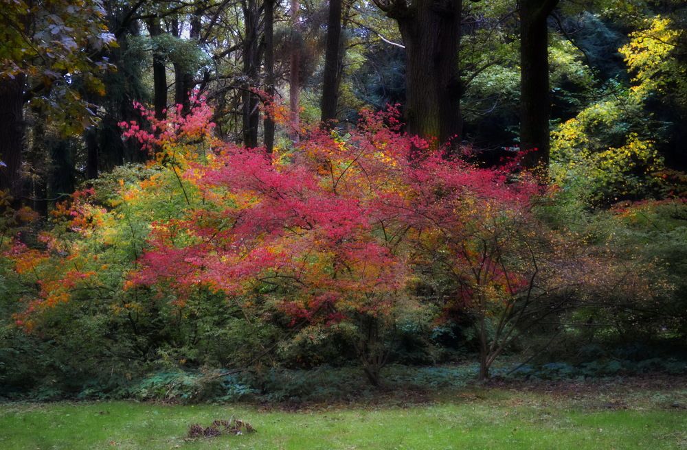 Photograph by Михаил Новиков