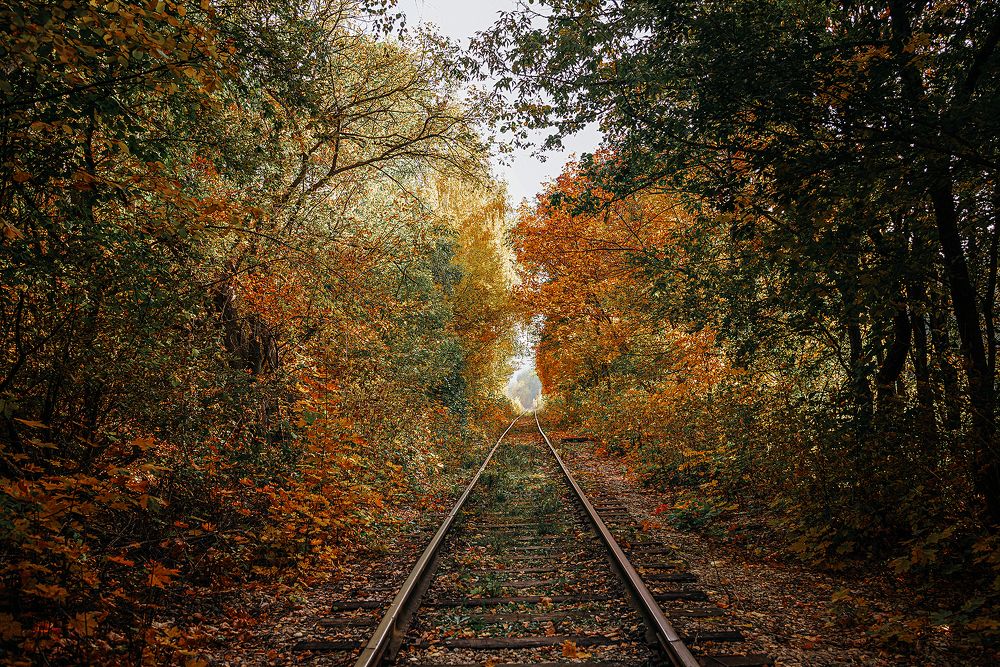 Photograph by Нелли Дзюба