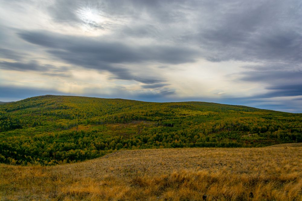 Photograph by Владимир