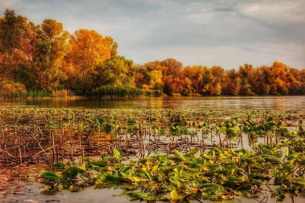 Осенние краски