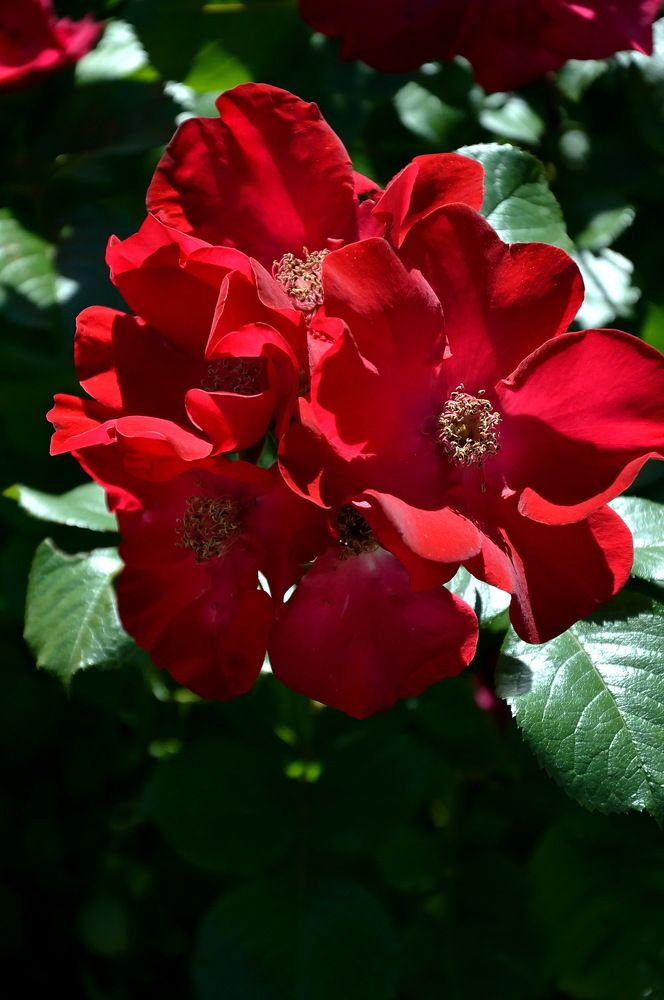 Photograph by Юрий Подвойский