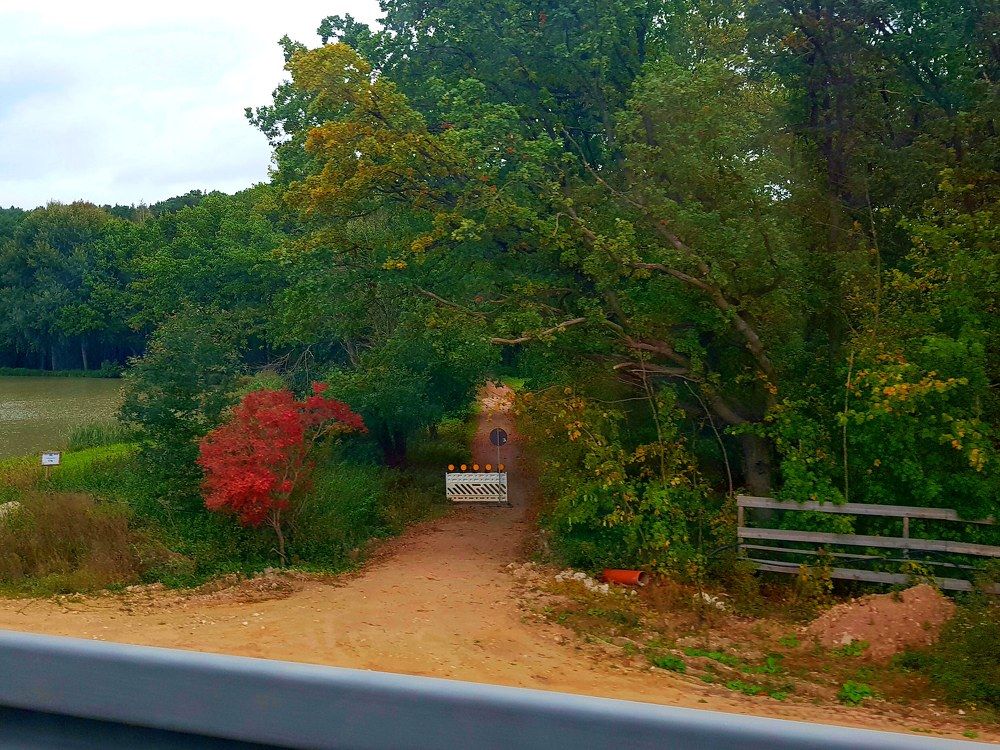 Photograph by Aurel Parlea