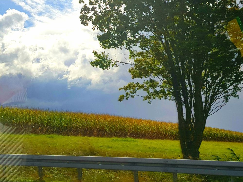 Photograph by Aurel Parlea