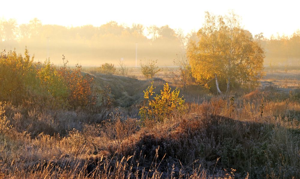 Photograph by Александр Пузиков