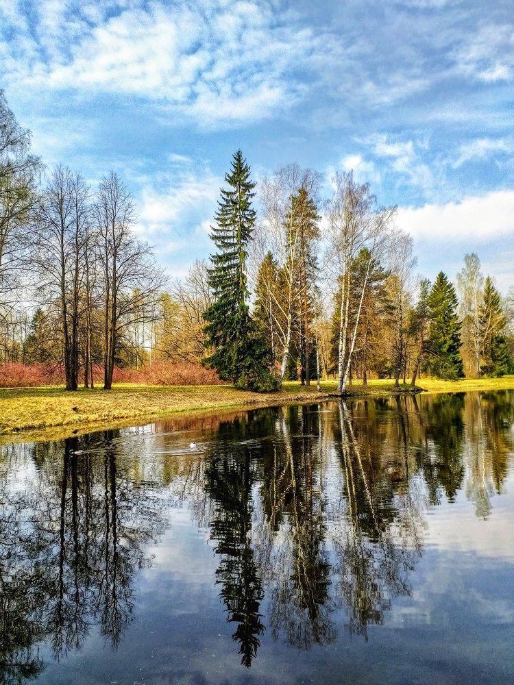 Photograph by Светлана Попова