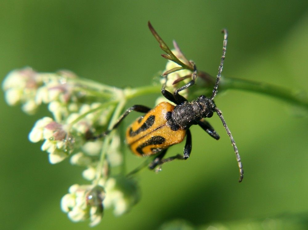 Photograph by Андрей Перешеин
