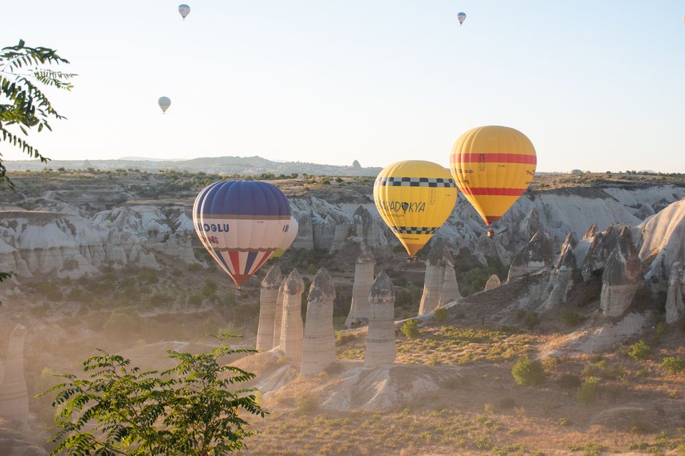 Photograph by Elisabeth