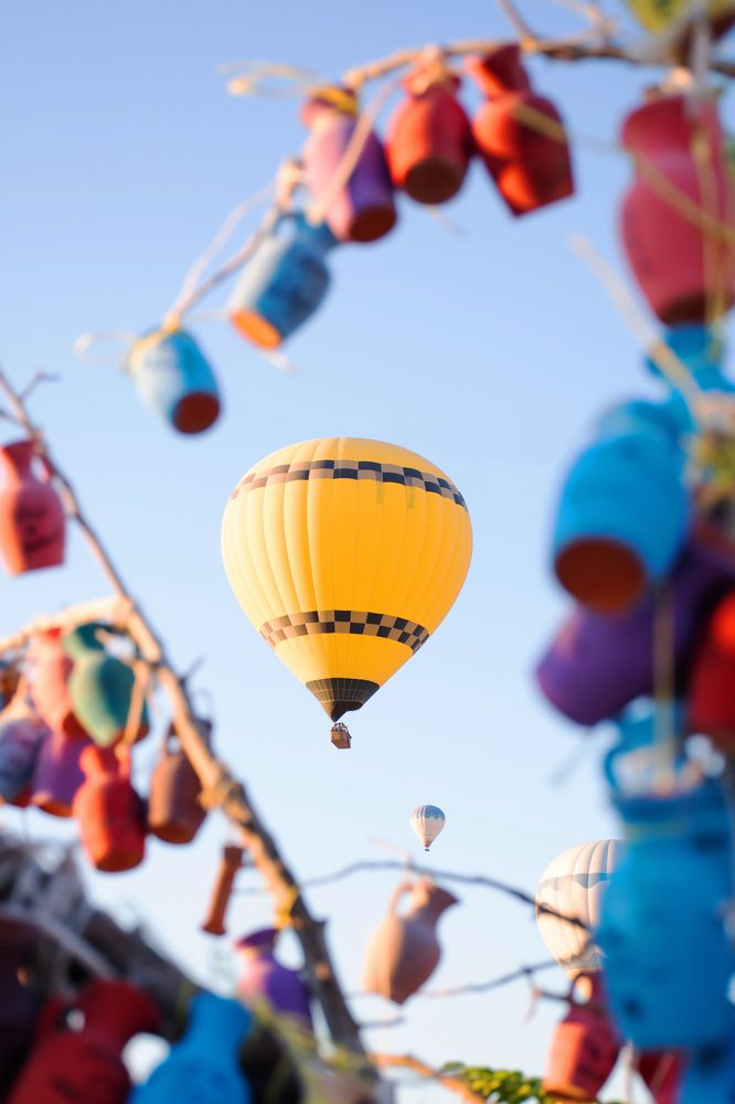 Photograph by Elisabeth