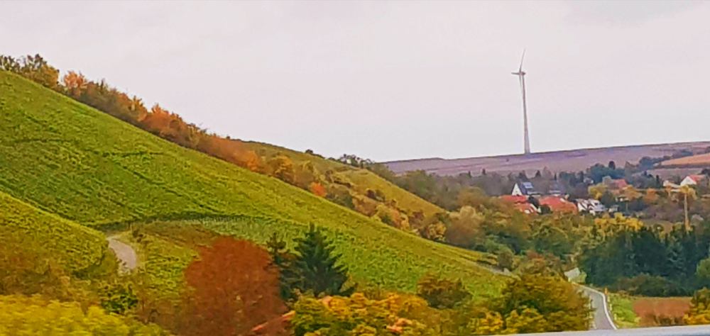 Photograph by Aurel Parlea