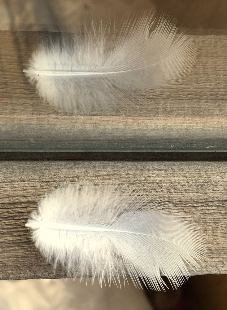 Photograph by Елена Ким