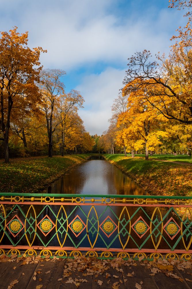 Photograph by Наталья Краснова