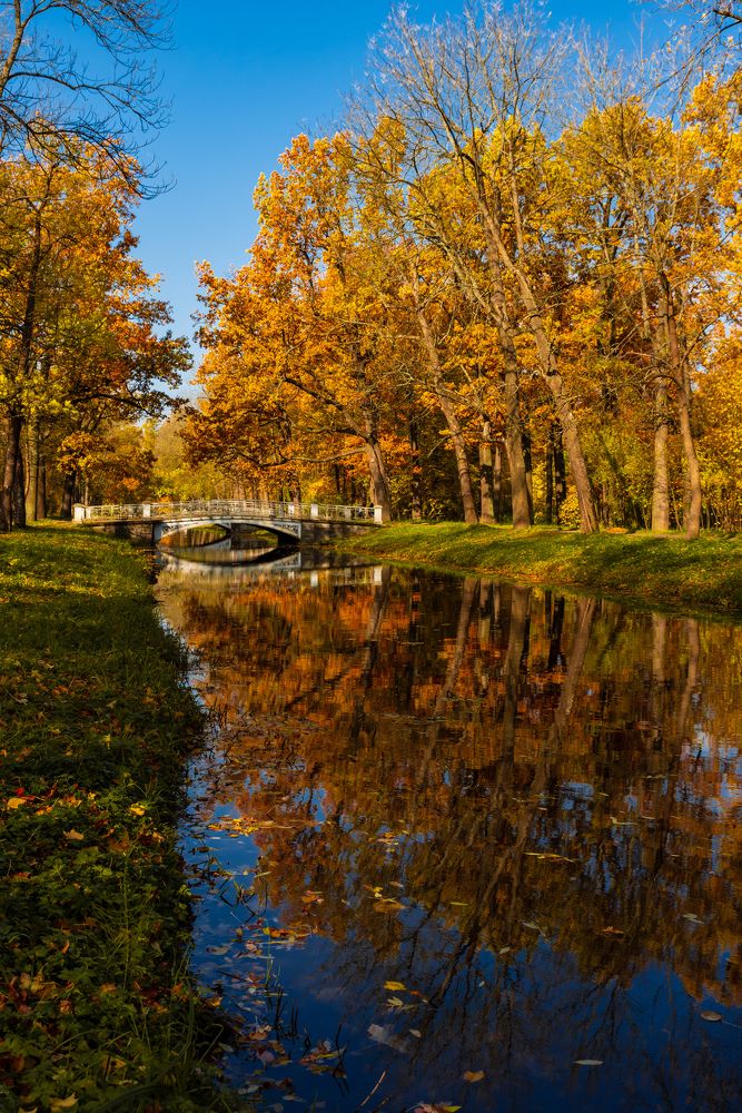 Photograph by Наталья Краснова