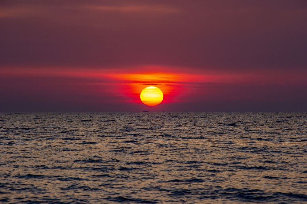 Photograph by Alena Poklonskaia