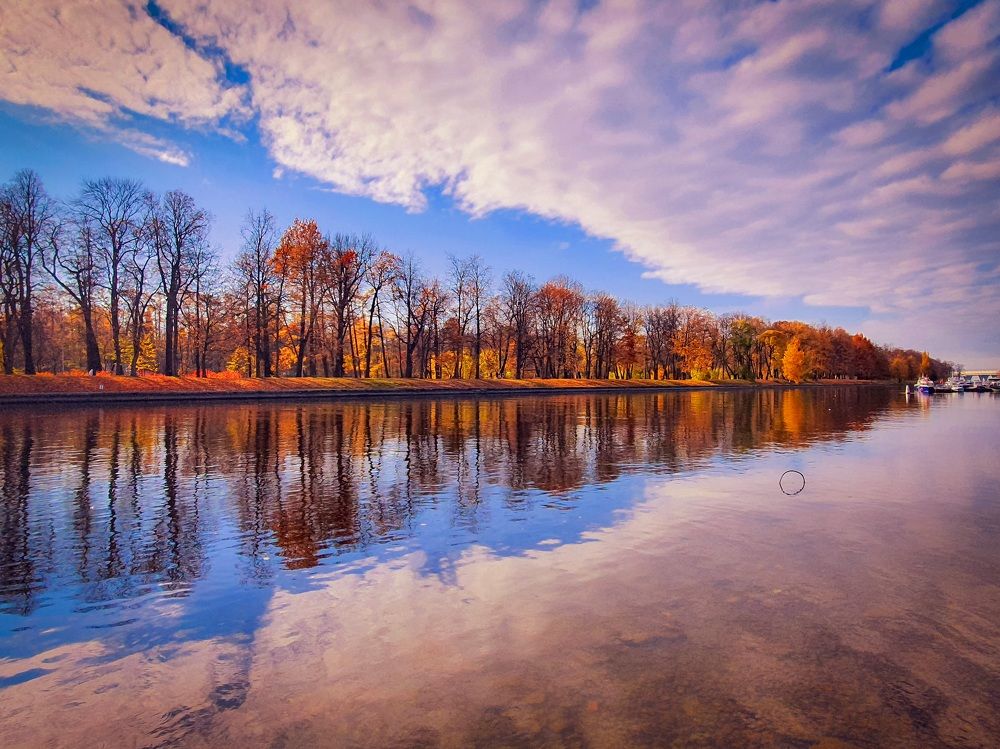 Отражение в воде.
