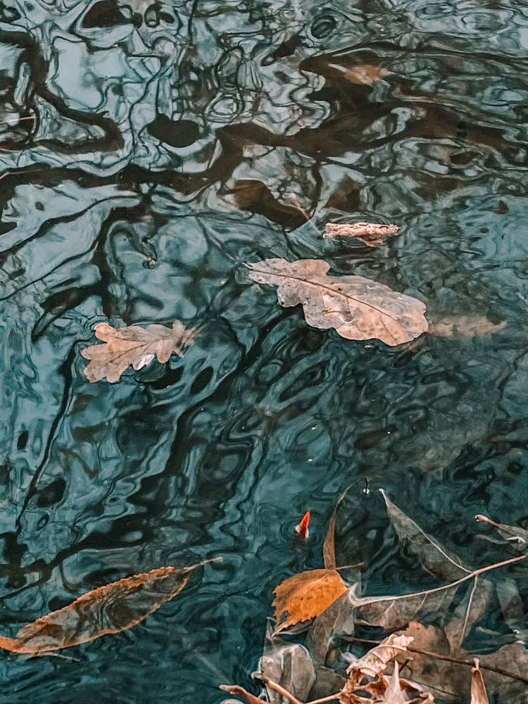 Photograph by Марина Урусова