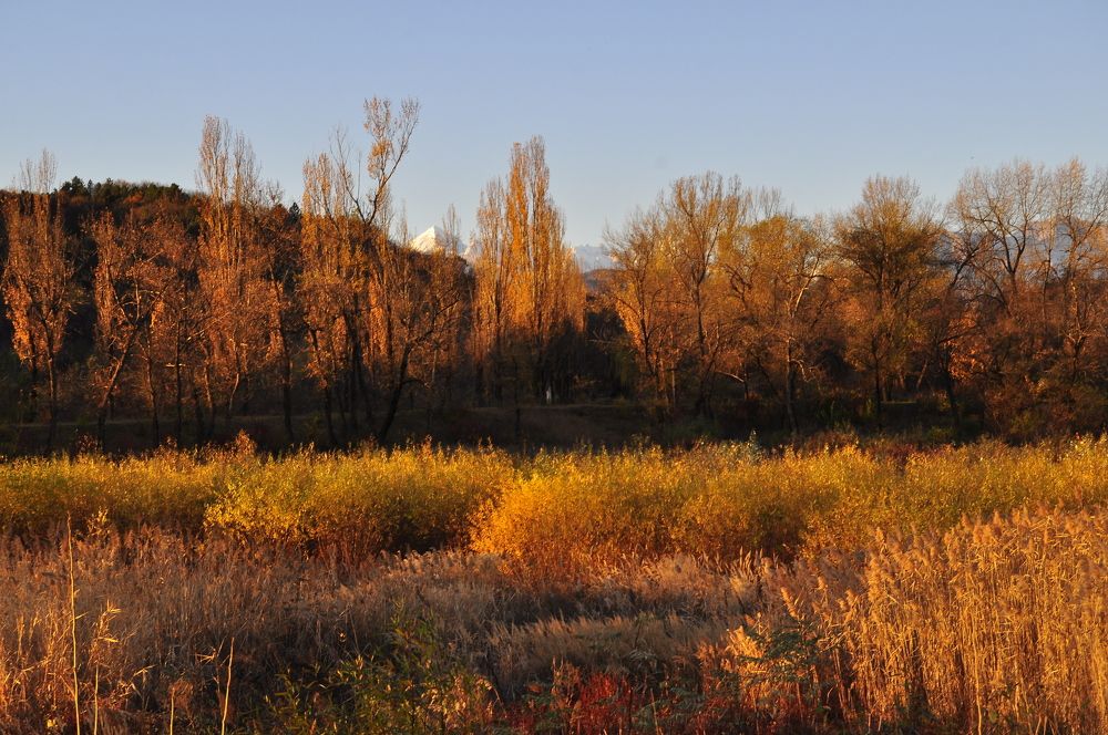 Photograph by Заурбек Шахмурзаев