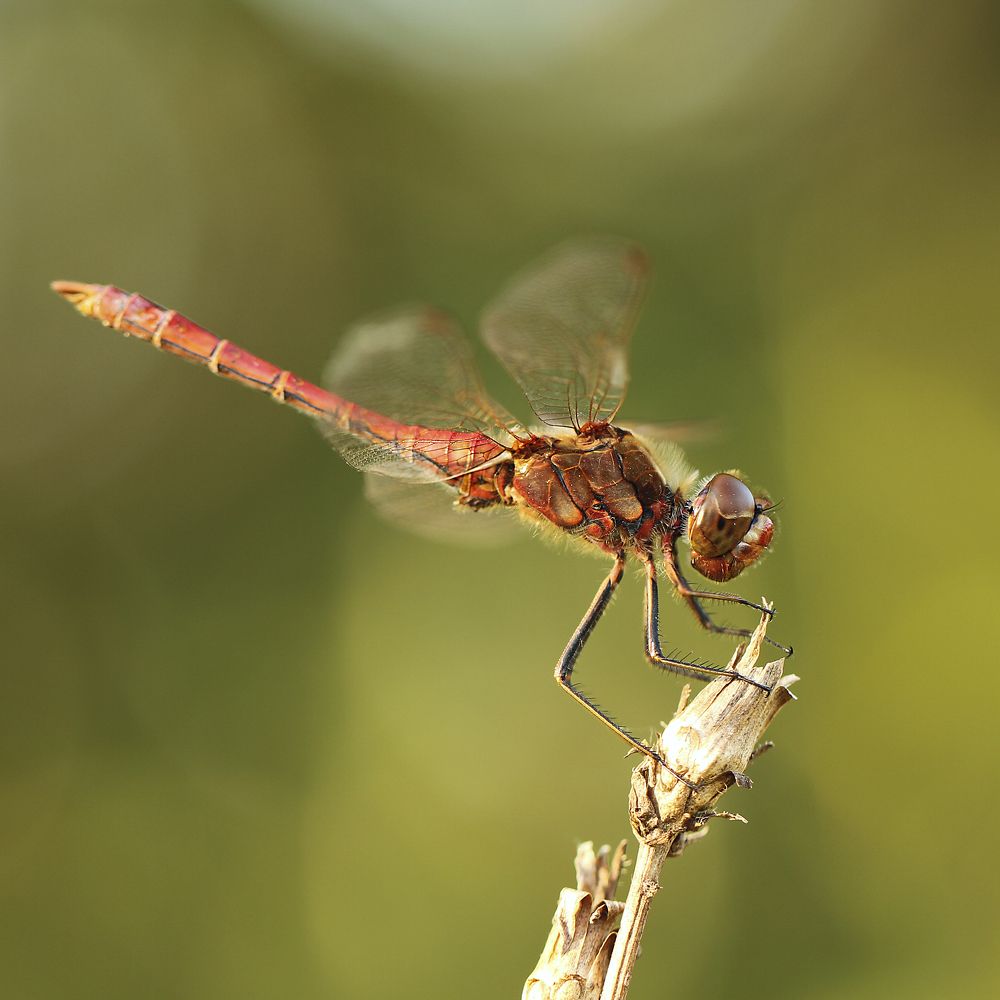 Photograph by Алена