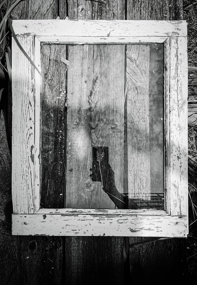 Photograph by Мария Блинова