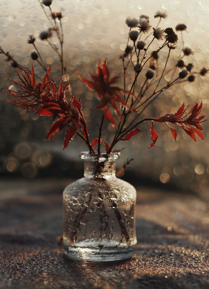 Photograph by Алена