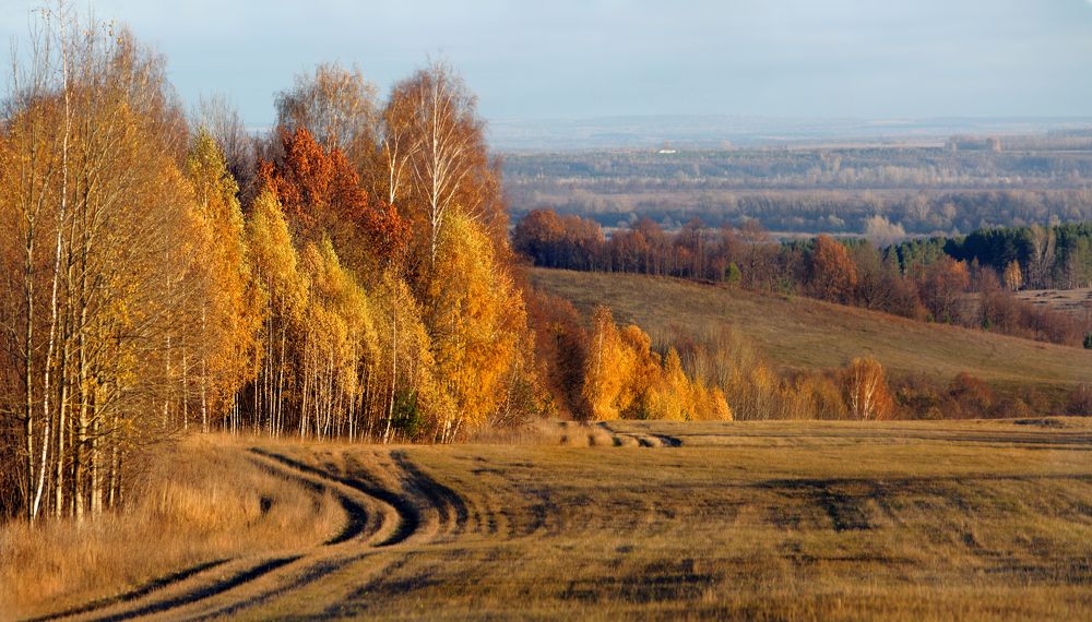 Photograph by Ольга Заболотская