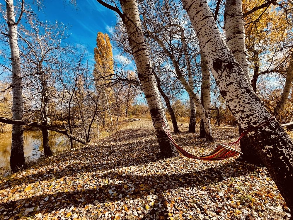 Photograph by Светлана Ткаченко