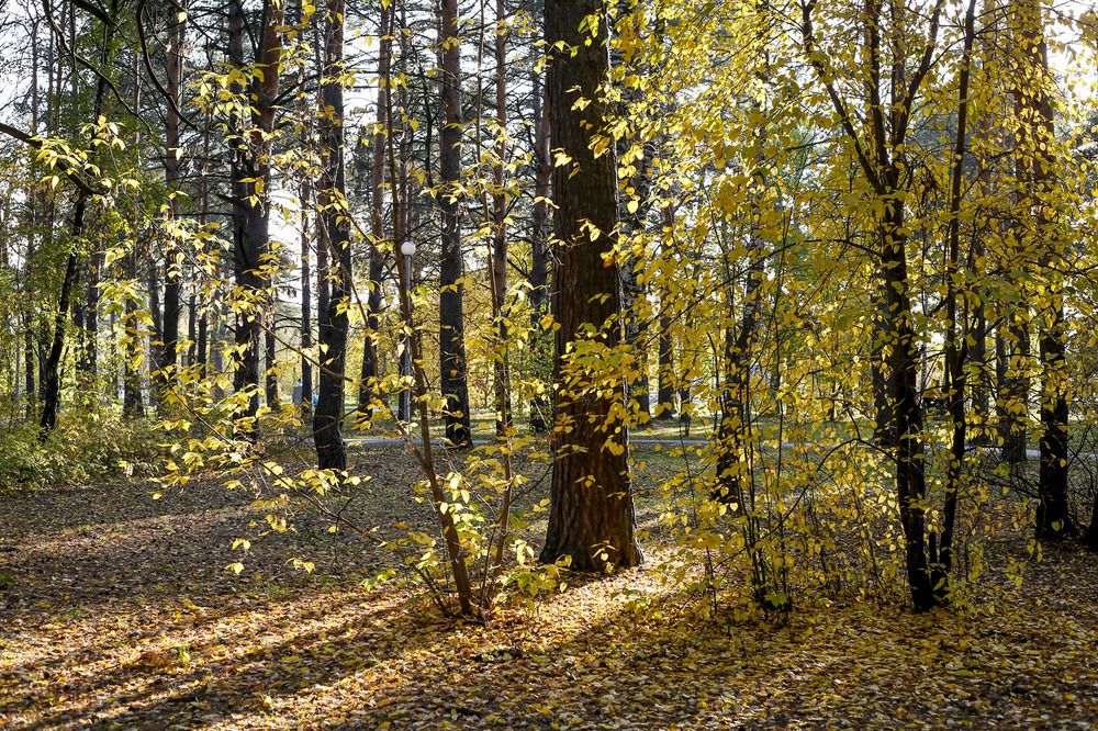 Photograph by Татьяна Атисс