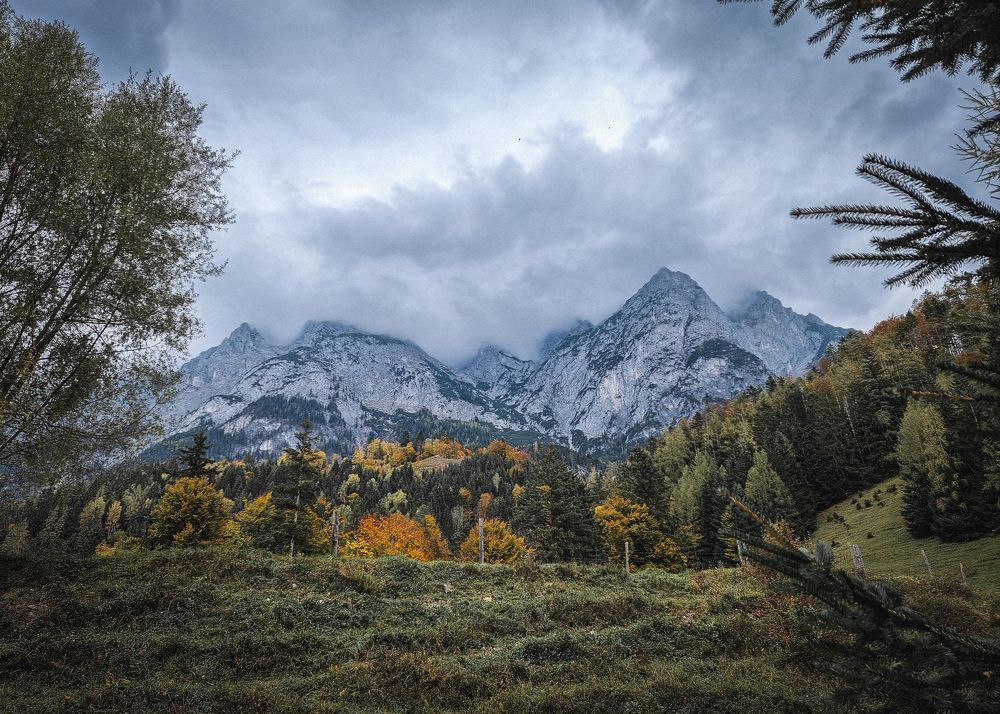 Photograph by Дмитрий Рябцев