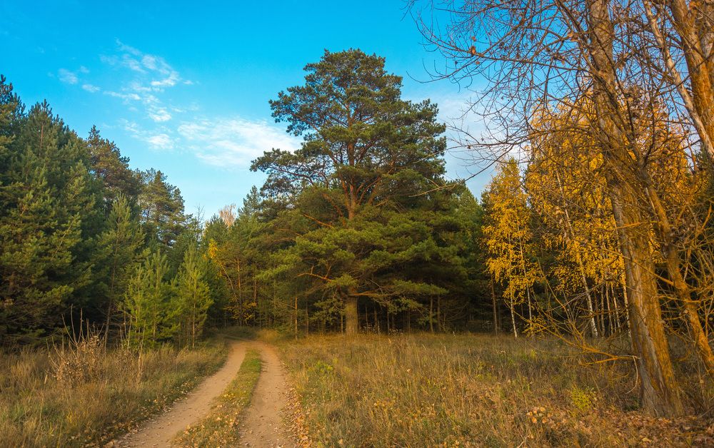 Photograph by Александр Халимов