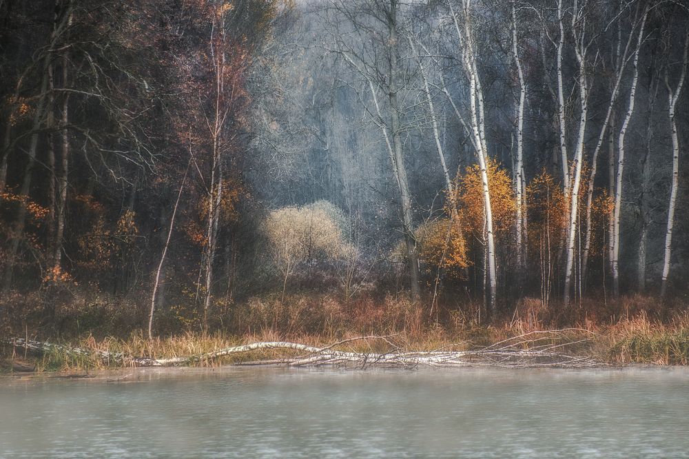 Осенняя слепота