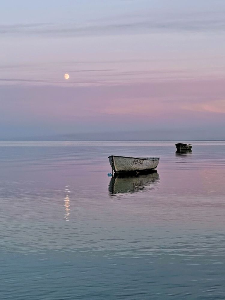 Photograph by Елена Вертегова