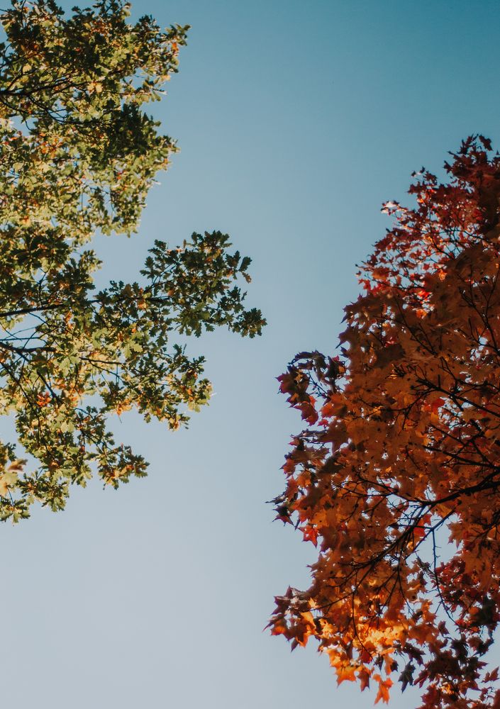 Photograph by Александр Наракшин