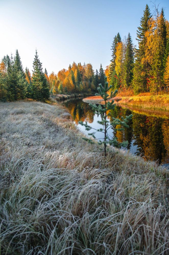 Фотография автора Alexander Bogdanov