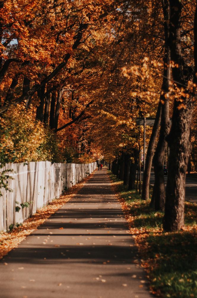 Photograph by Александр Наракшин