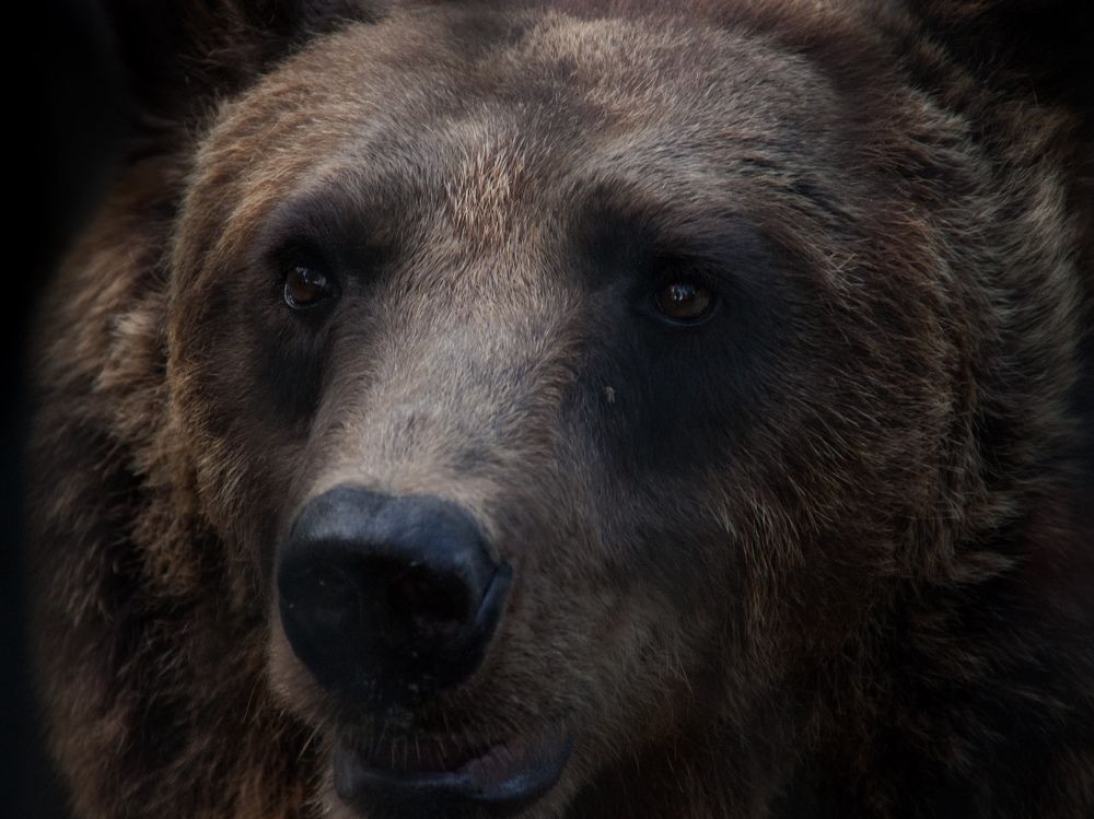 Photograph by Bruno Golemac