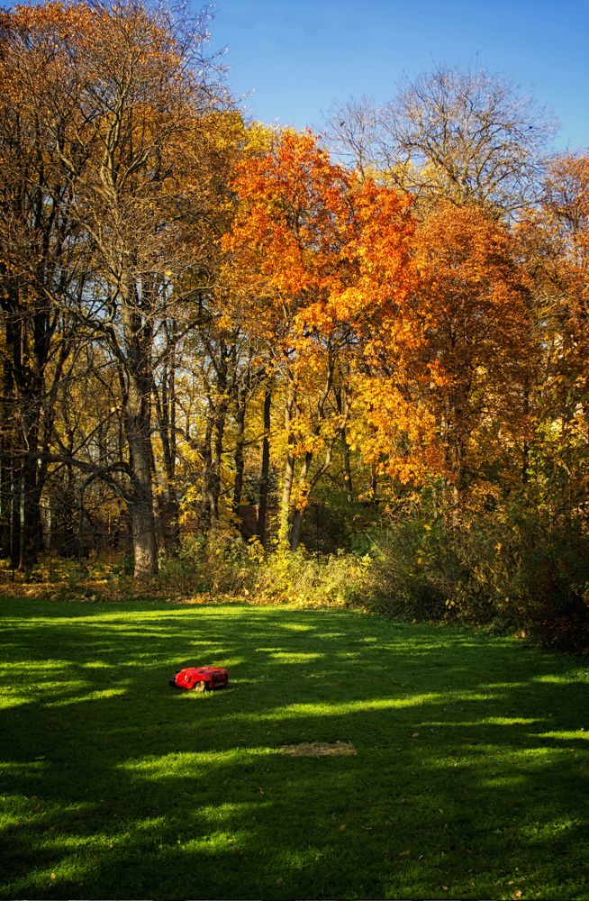 The last lawn mowing