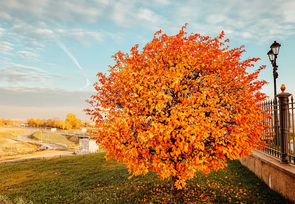 Photograph by Александр Наракшин