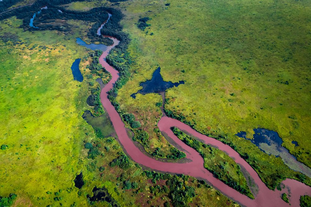 Река Сестра