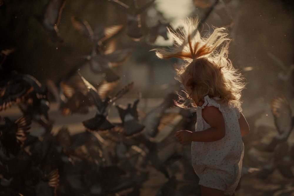 Голуби улетели!