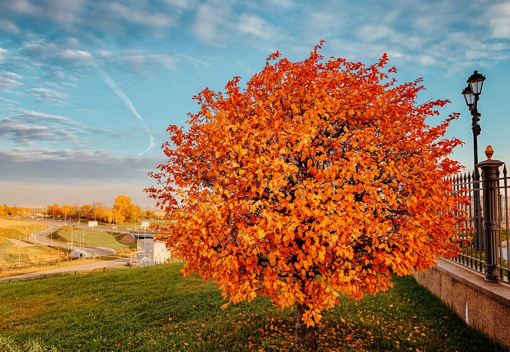 Photograph by Александр Наракшин