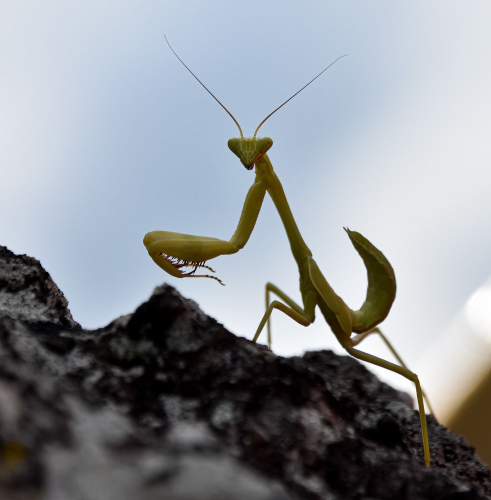 Photograph by Andrea