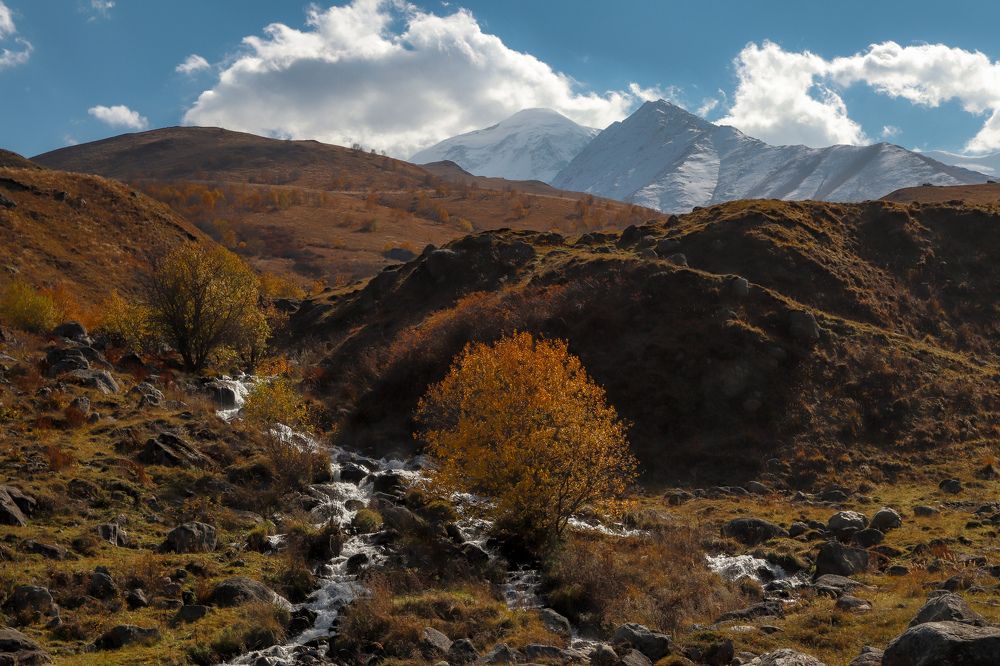 Photograph by Евгений Степанов