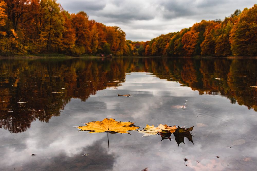 Photograph by Александр Михеев