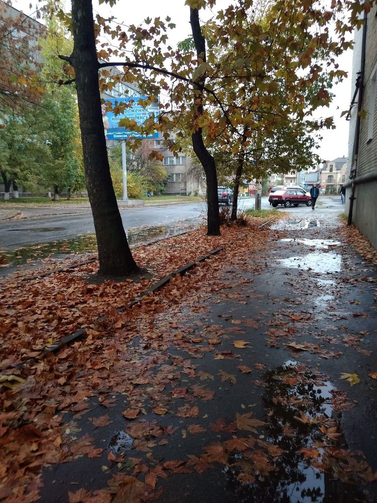 Photograph by Litvinova Ann