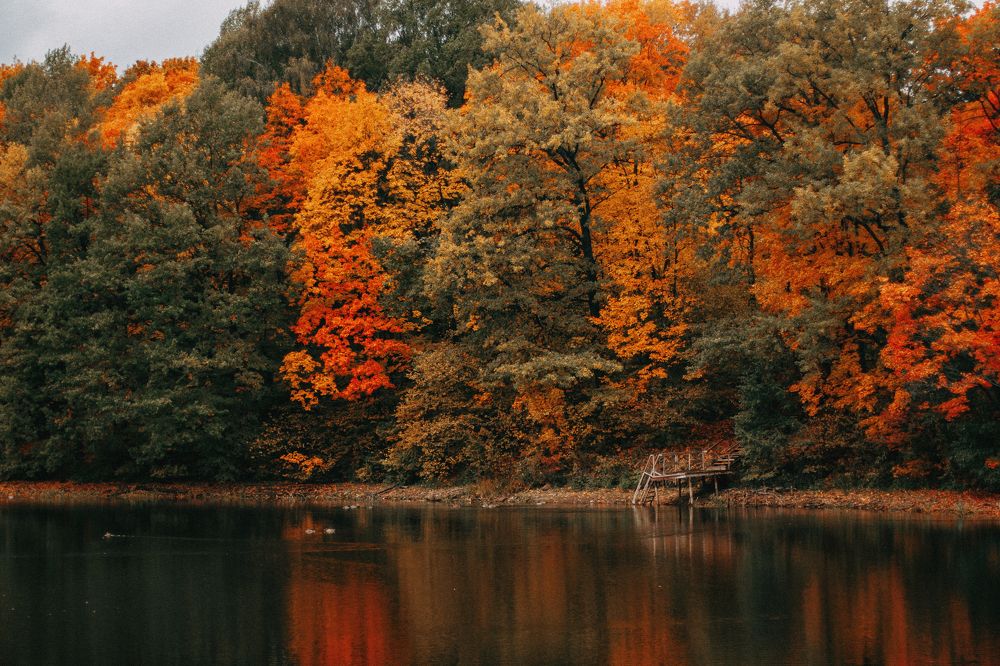 Photograph by Татьяна