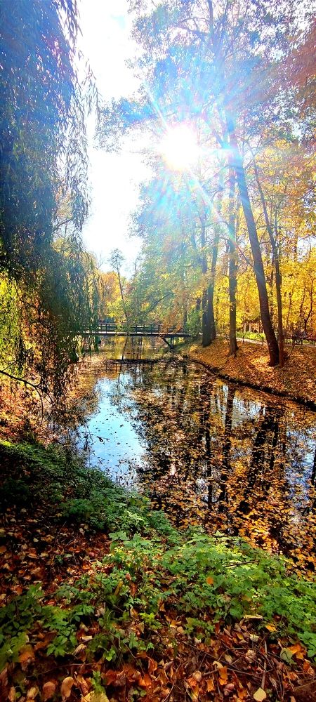 Photograph by Зульфия