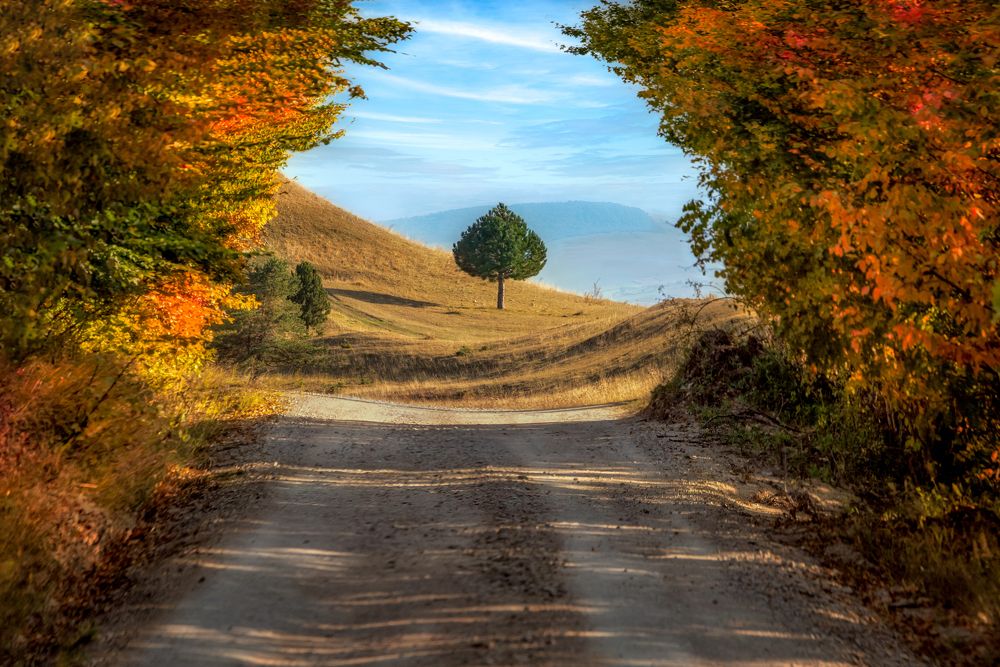 Photograph by Vasile Sarb