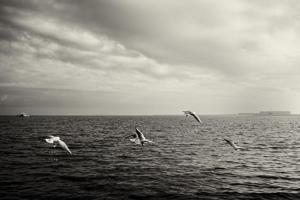 Море, облака и чайки